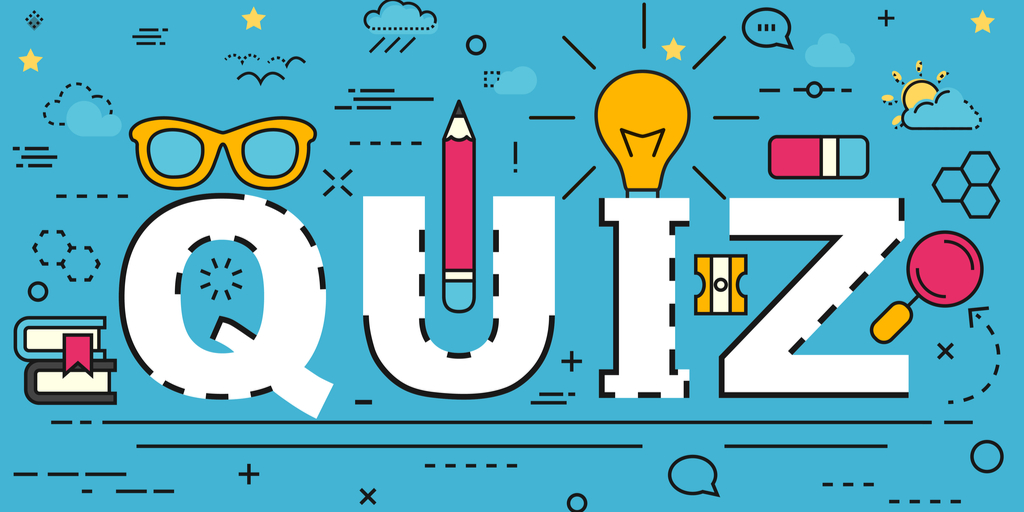 Why Quizzes Matter: Exploring the Importance of Interactive Learning